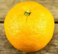 “橘生于淮北则为枳”是错的，古人“抛绣球招亲”也是假的
